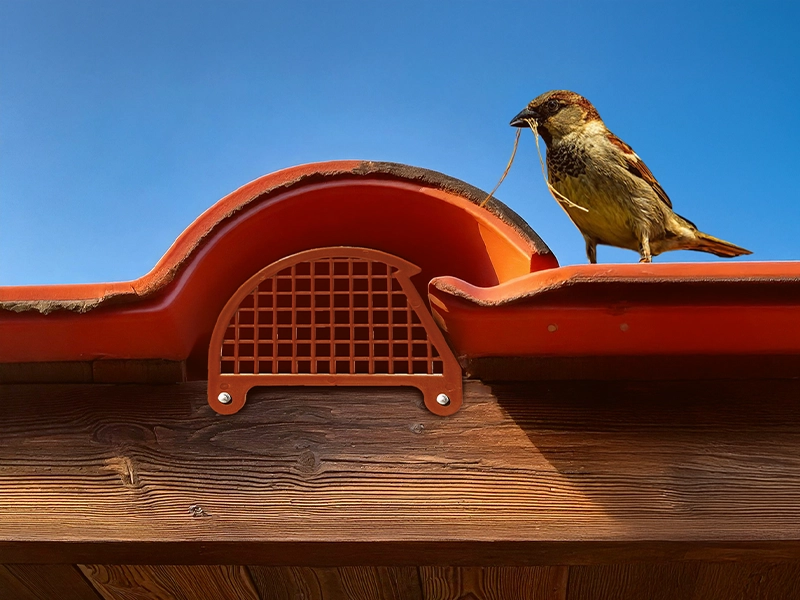 Pássaro pousado sobre telhado com terminal de ventilação em plástico da Forte Plásticos.